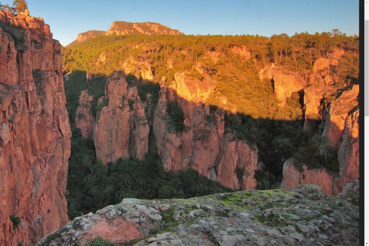 Entre Mer Et Esterel Roquebrune-sur Argens Bagian luar foto